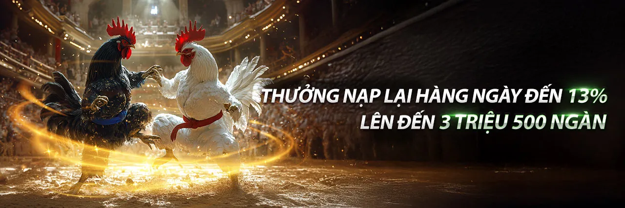 Tin tức và sự kiện mới nhất từ q8bet casino