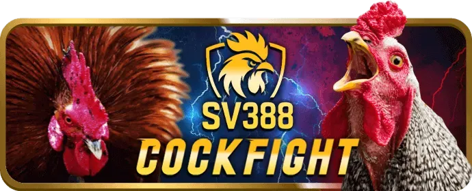 Trò chơi slot và bắn cá q8bet casino